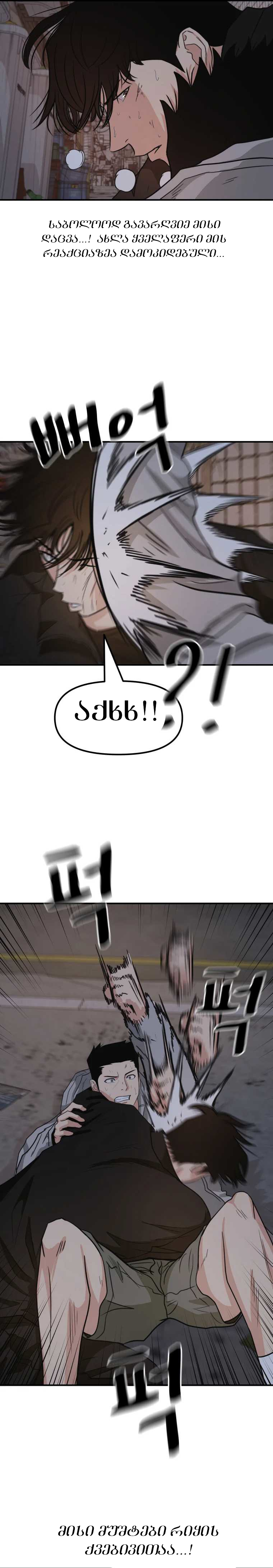 Page (6)